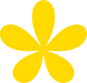 Yellow Flower Graphic